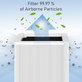 Blueair Blue Pure 211+ - HEPA szűrő (Aktív szén)