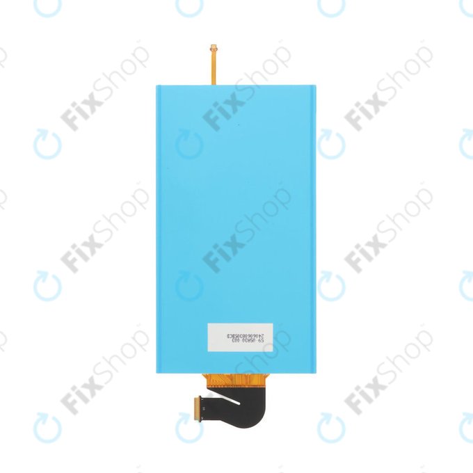 LCD kijelző Nintendo Switch Lite részére