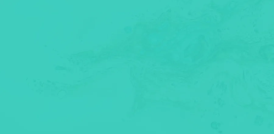 587785
