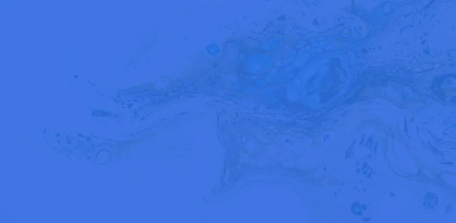 577955